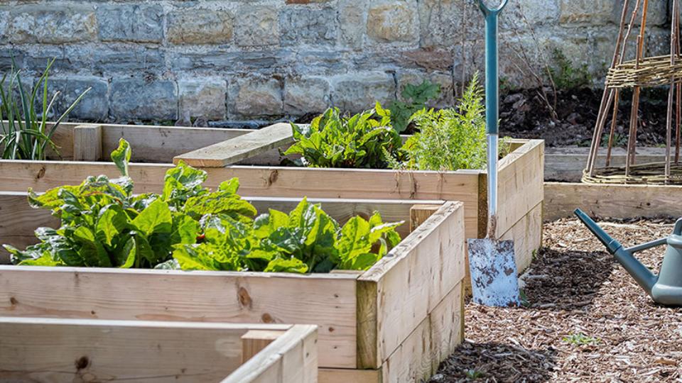 Create your Own Garden Bed | Prairie Sky Co-op